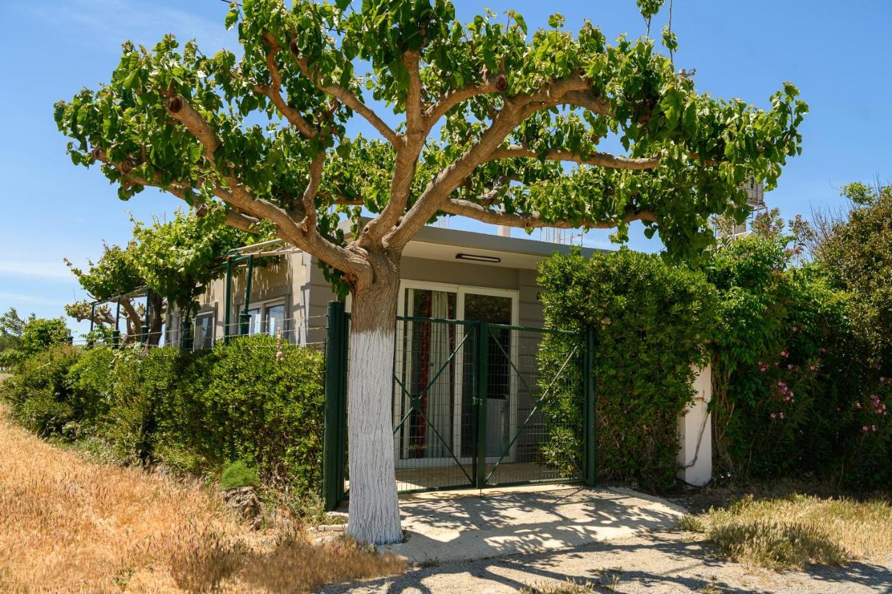Petrakis Afrathias Garden House Kalamaki (Heraklion) Exterior foto